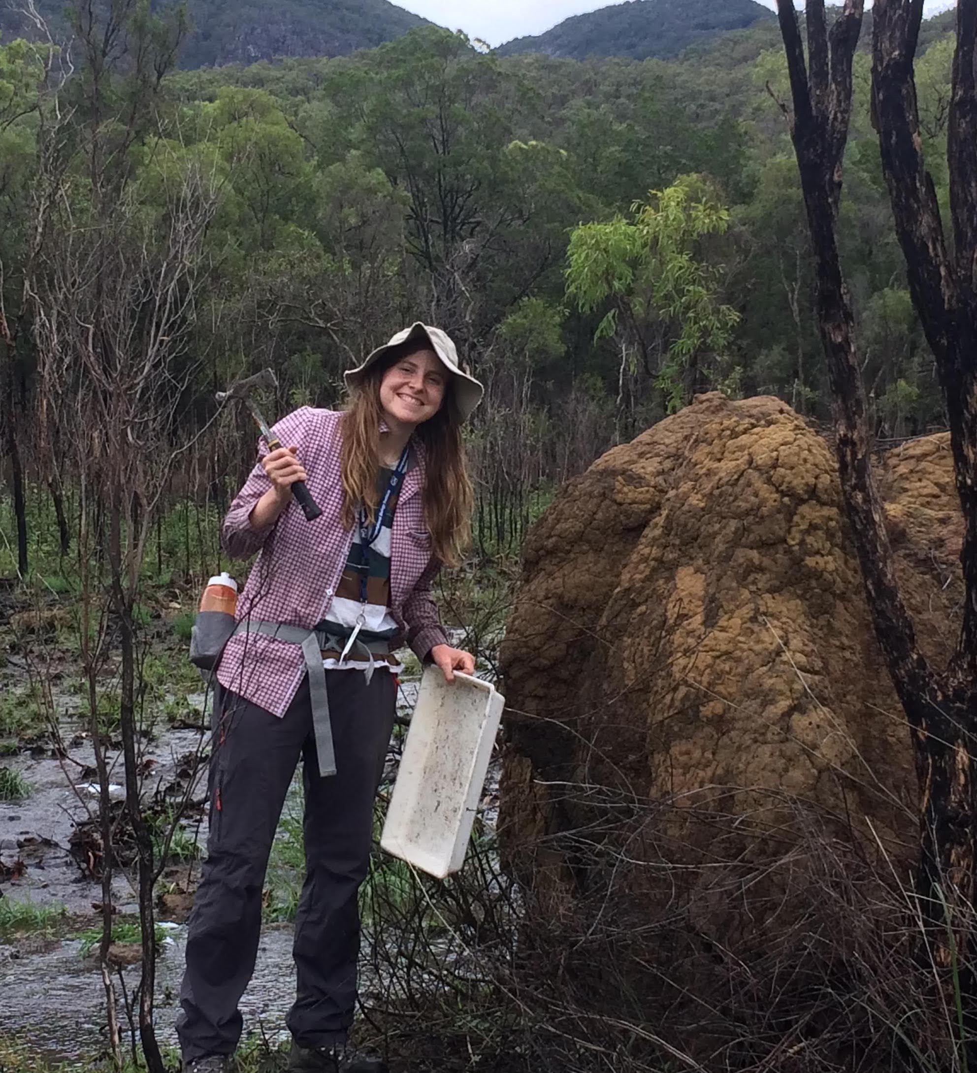 termite_mound